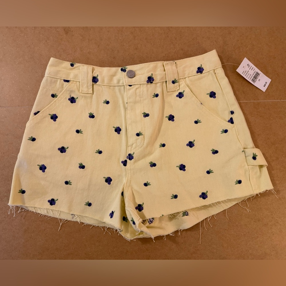 PacSun Lemon Berry Carpenter Shorts